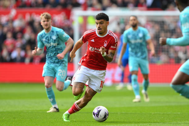 能否成为又 能否成为又